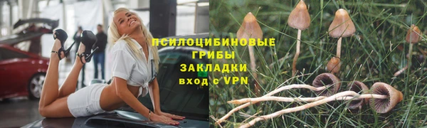 ГАЛЛЮЦИНОГЕННЫЕ ГРИБЫ Абдулино